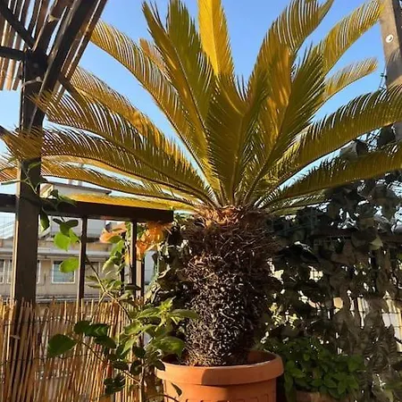Appartamento Da Giorgio E Teresa - Attico Con Terrazza A Piazza Del Popolo Roma Esterno foto